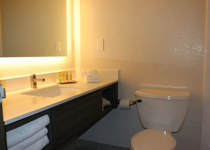 Wyndham Garden Capitol Near Fsu 3*