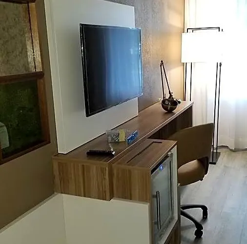 Hotel Wyndham Garden Capitol Near Fsu 3*